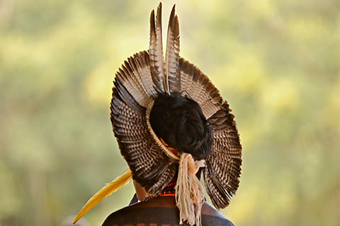 A photo of the headdress of a Pataxo tribe member in Bahia Brazil.