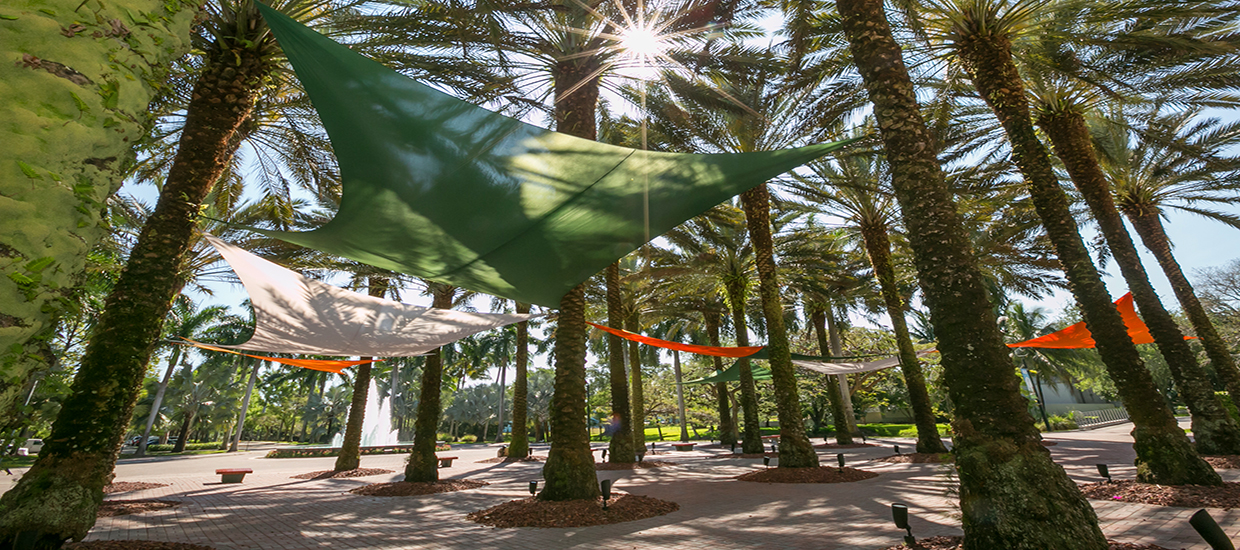 A photo of decorative canopies at the University of Miami Coral Gables campus.