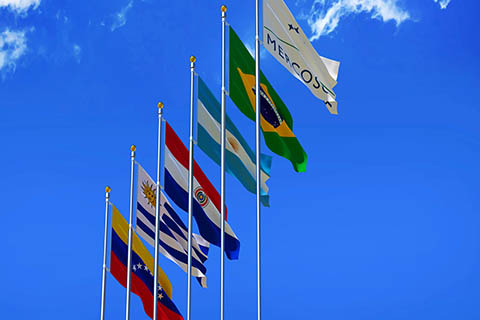 A stock photo of the flags of the countries within MERCOSUR.