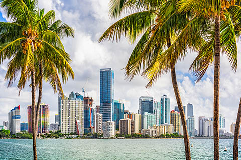 A stock photo of the downtown Miami, Florida skyline.