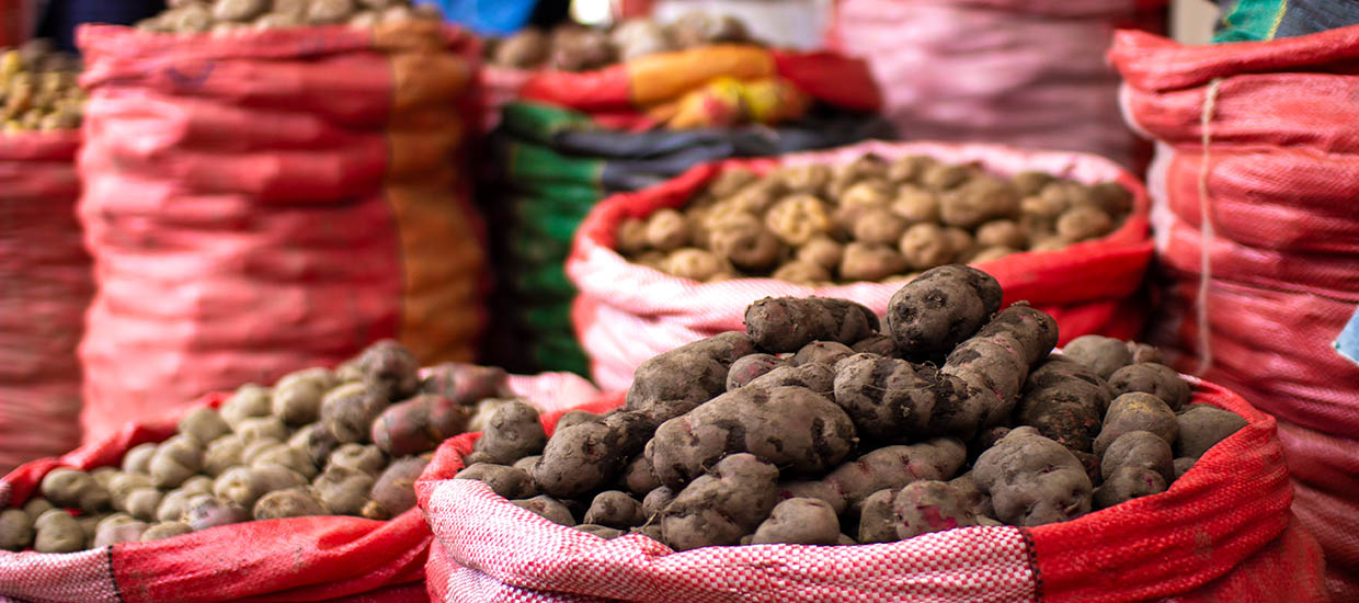 An image of potato sacks at a market in Cusco, Peru.